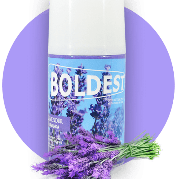 Boldest Lavender